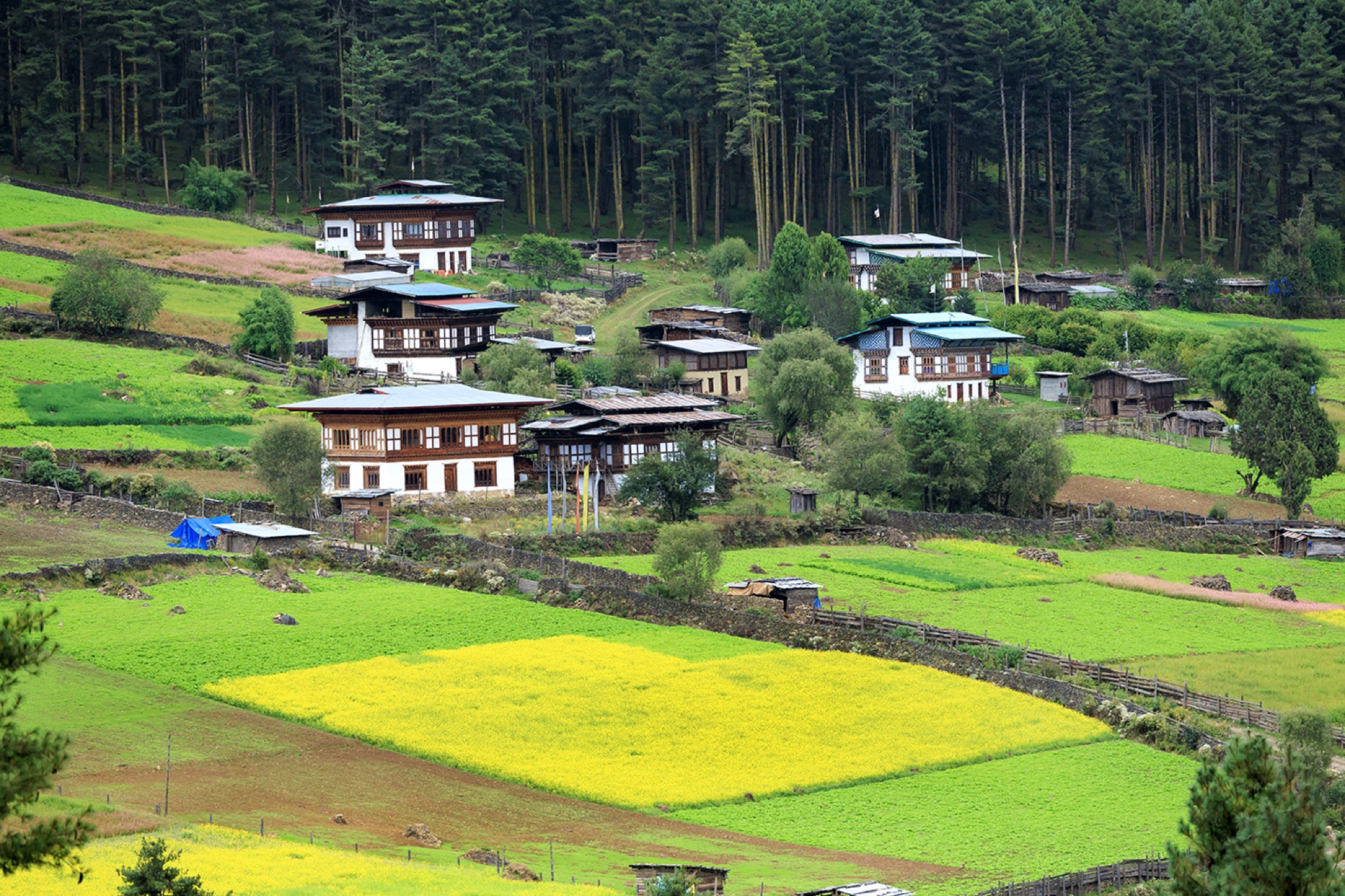 Bhutan Highlights: 7 Dagen Ontdekking