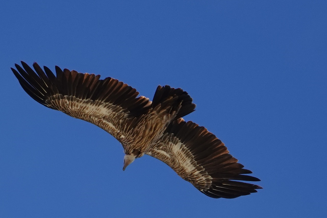 I am so happy to be alive!