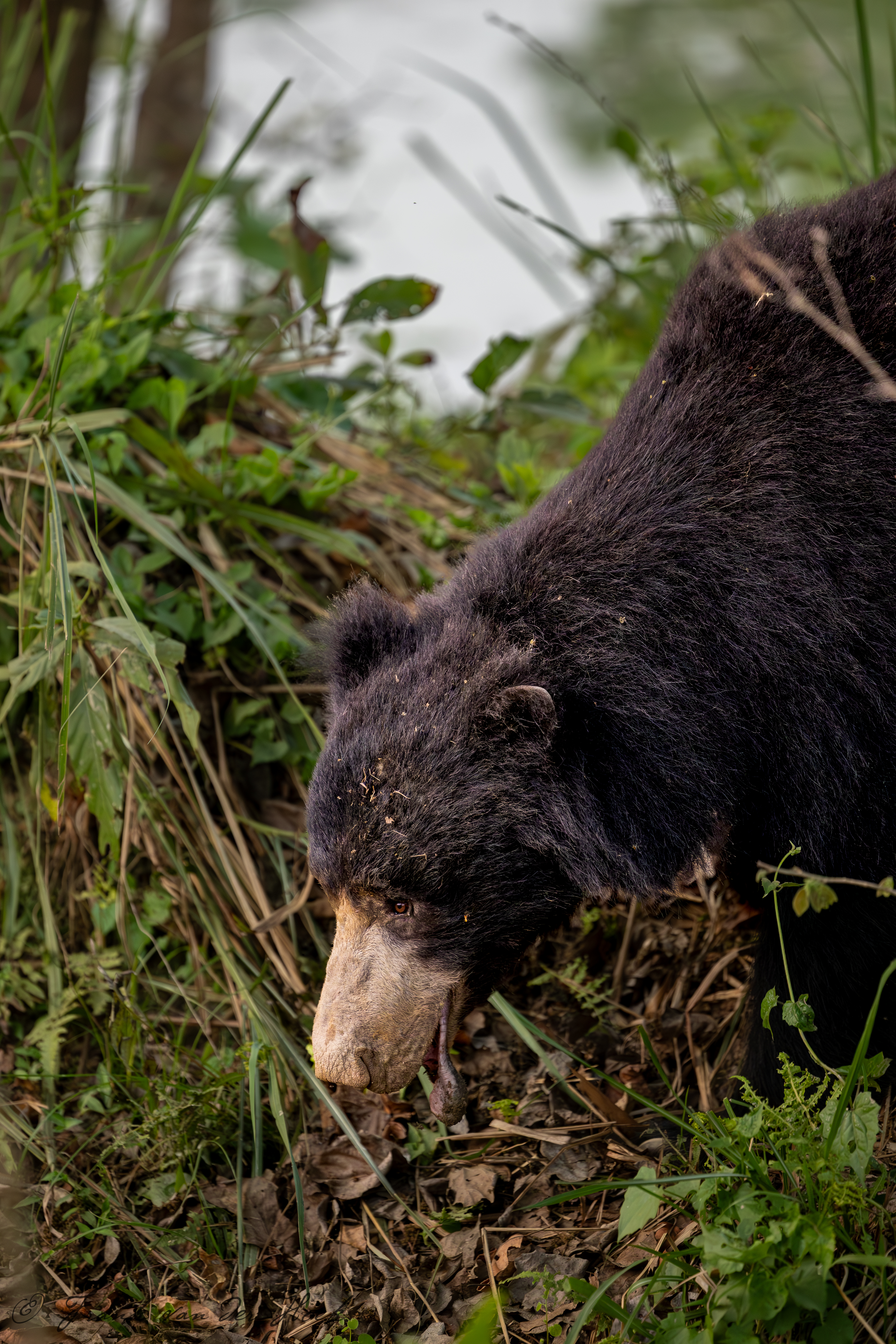 Expeditie Holi - Doen wat je kunt doen