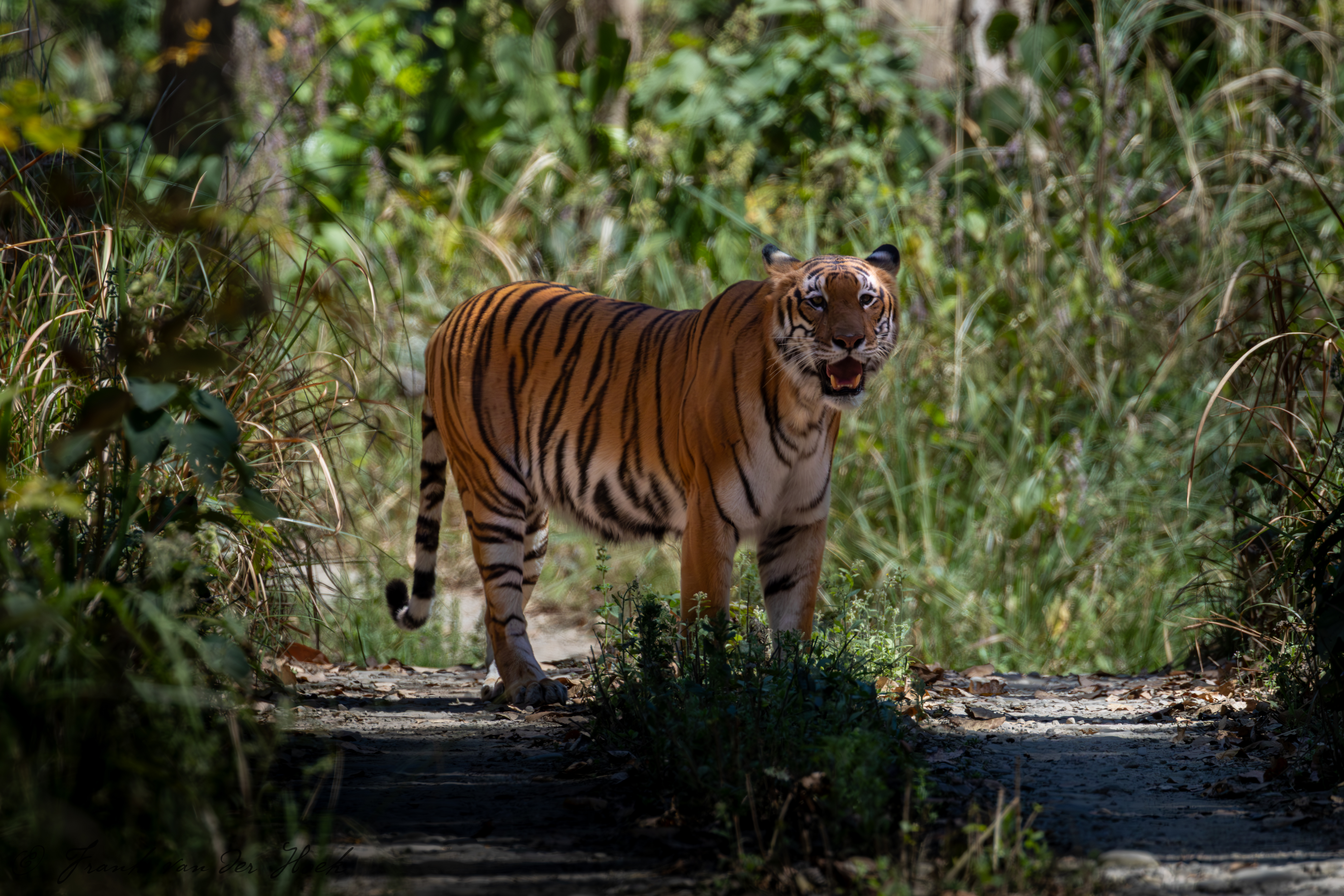 Paspoort wel of niet afgeven?