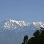 Google review Nepal